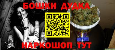 стафф Дубна