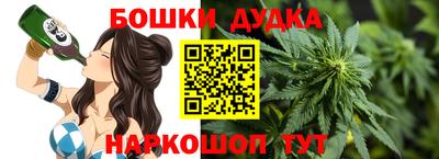 стафф Дубна