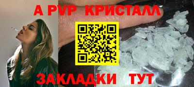 стафф Дубна