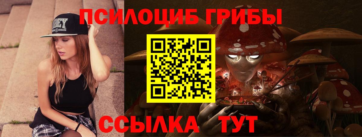 Бирск  Галлюциногенные грибы прущие грибы  Вход с VPN 